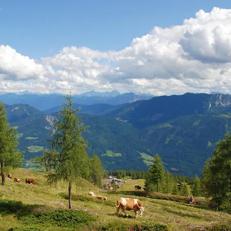 Beim Rauter - Emberger Alm