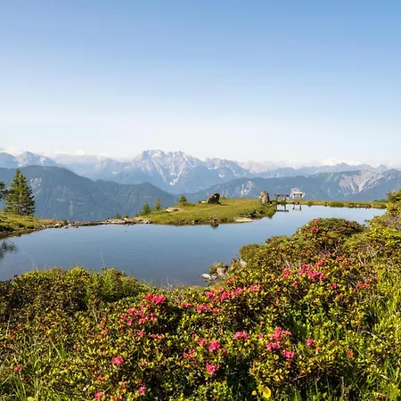Beim Rauter - Emberger Alm