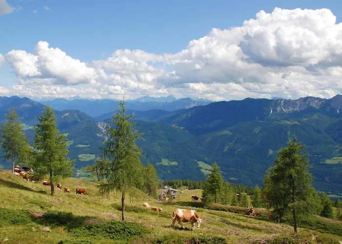 Beim Rauter - Emberger Alm